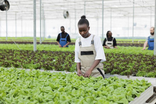 Quelles méthodes pour enseigner l'optimisation des processus d'achat en entreprise ?